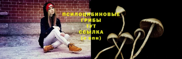СК Абдулино