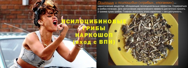 spice Абинск