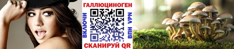 как найти наркотики  Донецк  darknet наркотические препараты  Галлюциногенные грибы Magic Shrooms 