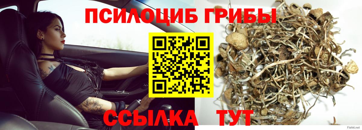 Псилоцибиновые грибы мицелий  Вход с VPN  Псилоцибиновые грибы Psilocybe  Донецк 